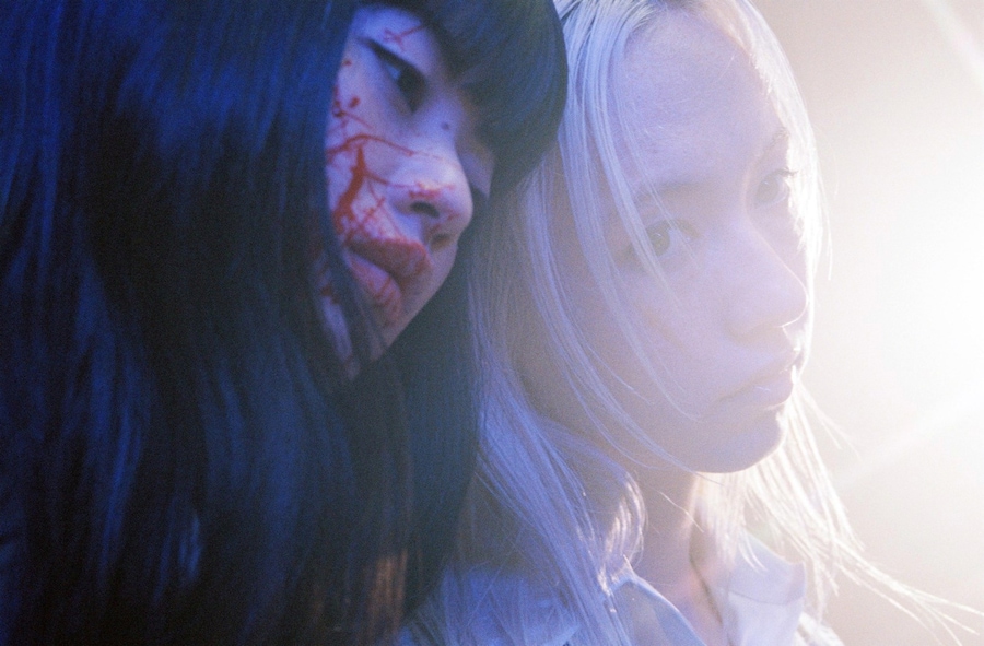 Star by Petra Collins