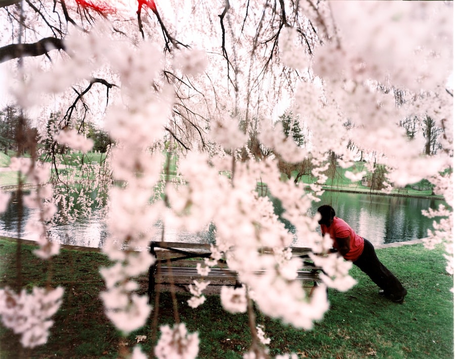 Devlin Claro: Crushing at Donald Ryan Gallery