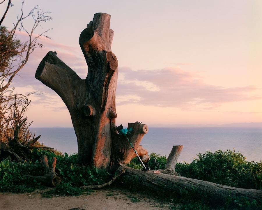 Devlin Claro: Crushing at Donald Ryan Gallery