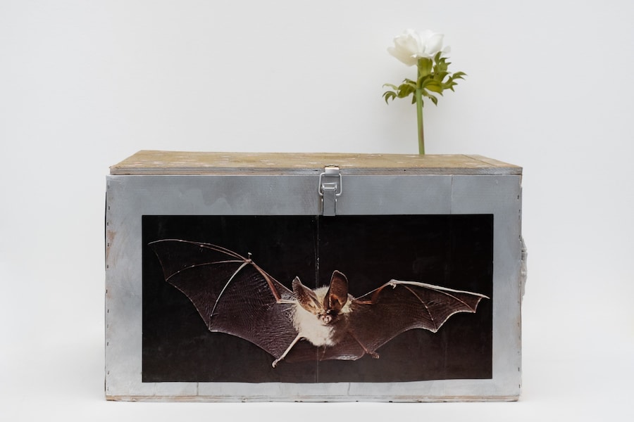 Bring Me Men by Gray Wielebinski is on show at Nicoletti 