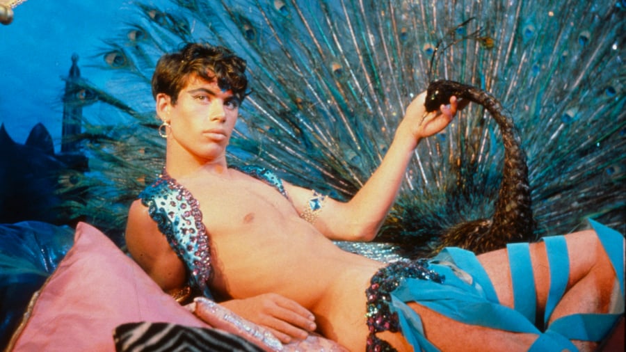 Pink Narcissus, 1971