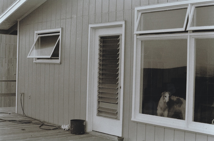 Larry Stanton: Friends + Lovers