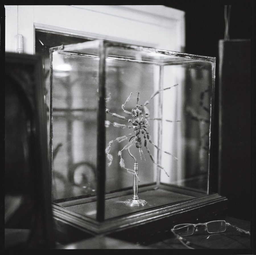 5 Bis by Charlotte Gainsbourg, Rencontres d’Arles 2026, YSL