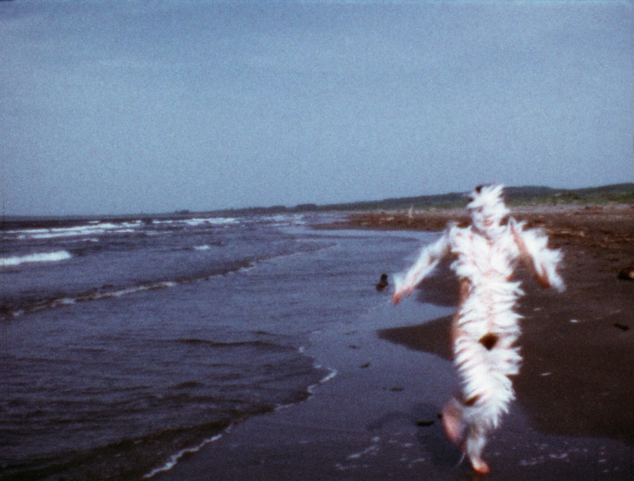Ana Mendieta at Tate Modern