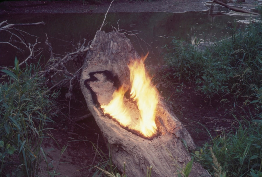 Ana Mendieta at Tate Modern