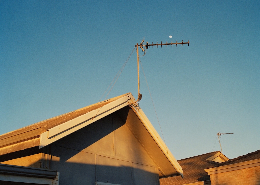 No Birds by Adam Peter Johnson 