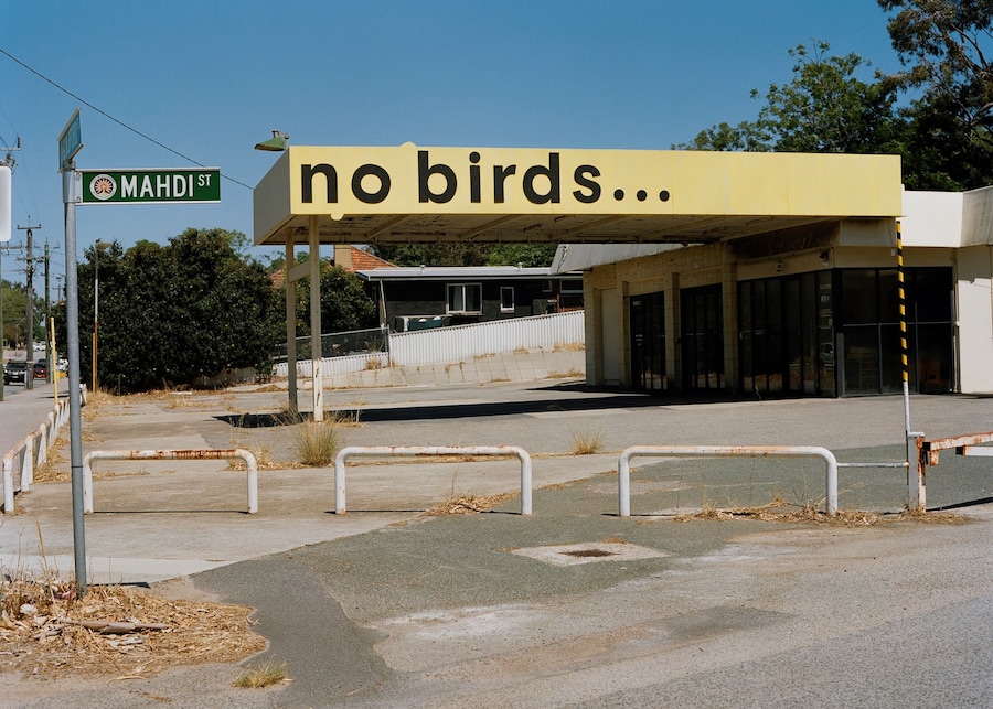 No Birds by Adam Peter Johnson 