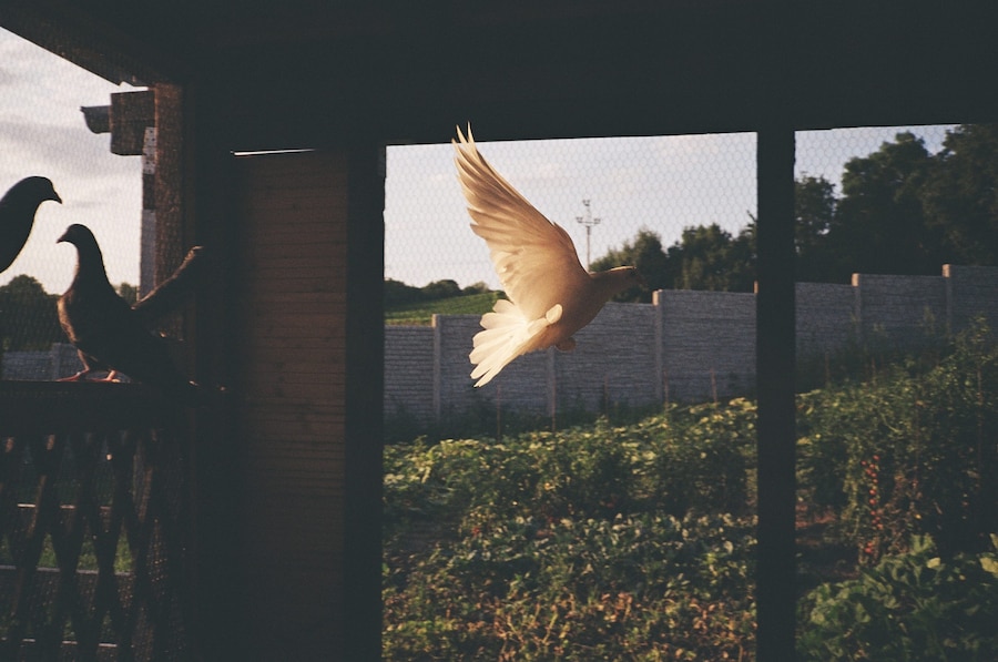 Marie Tomanova’s Summer Photo Dump