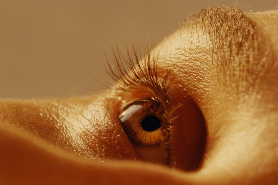 Earthquake Weather by Colin Dodgson