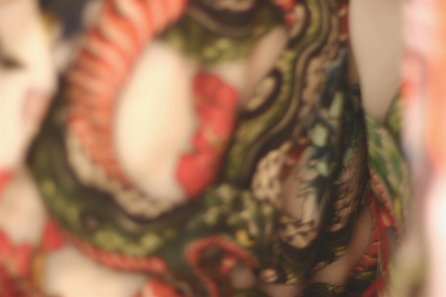 Christopher Kane print