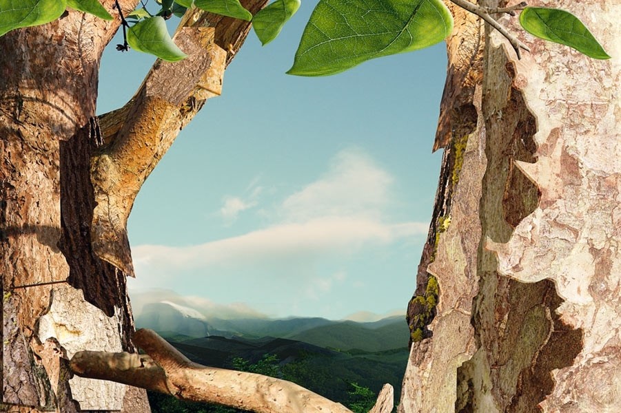 Treetop, 2012