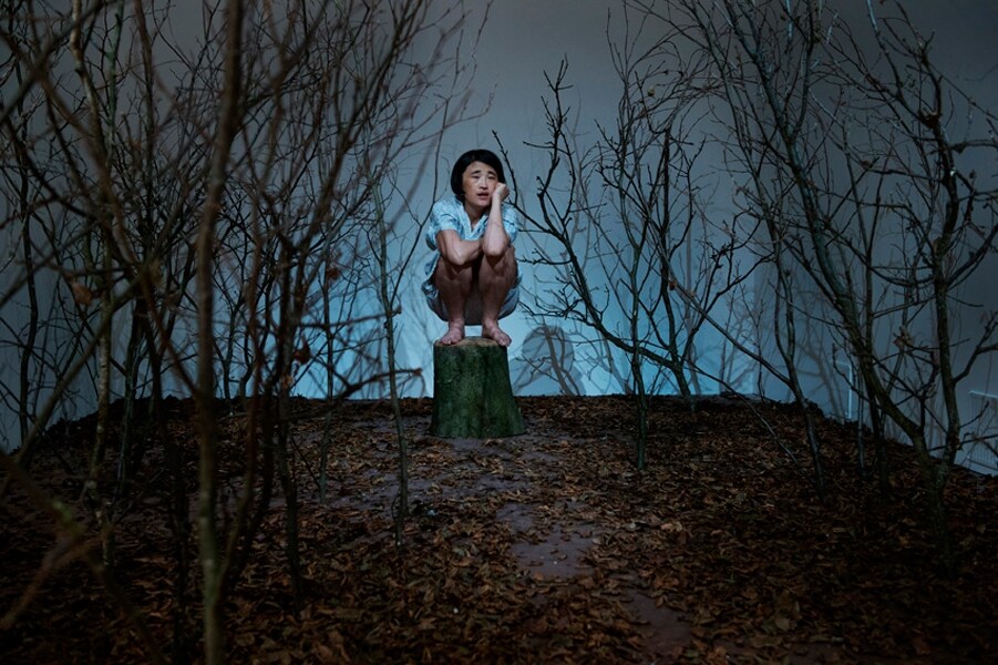 Happy Yingmei (2011-2012) by Yingmei Duan