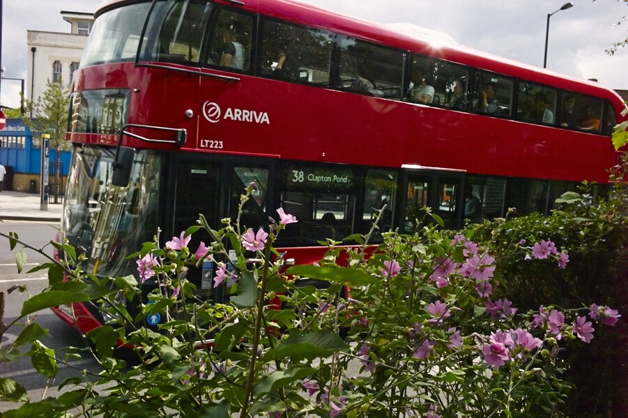 London in Bloom