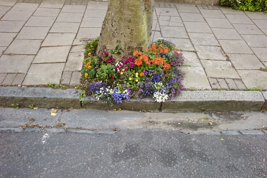 London in Bloom