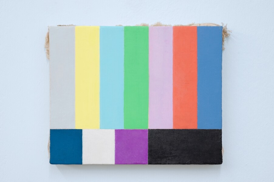 Francis Al&#255;s, Untitled, 2011–12