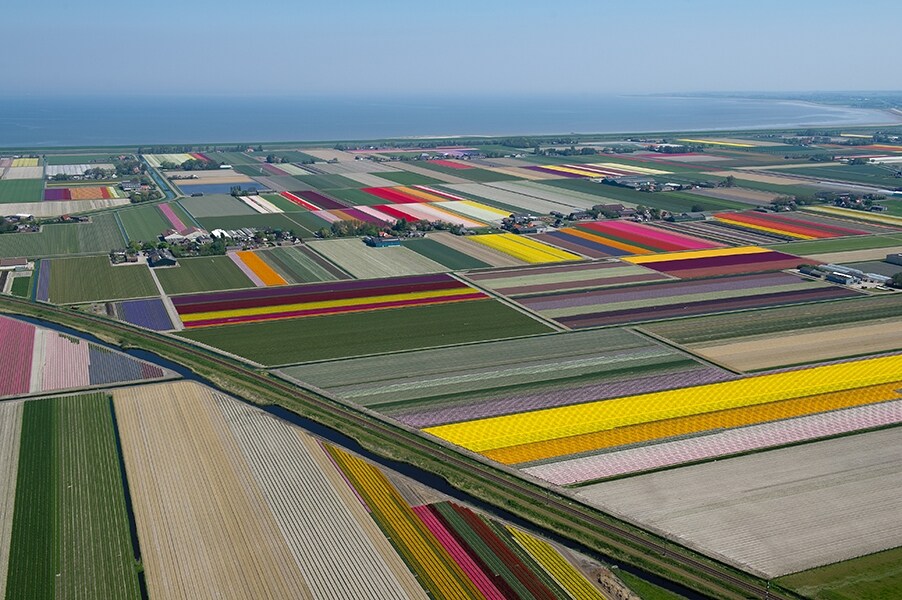 &#169; Normann Szkop