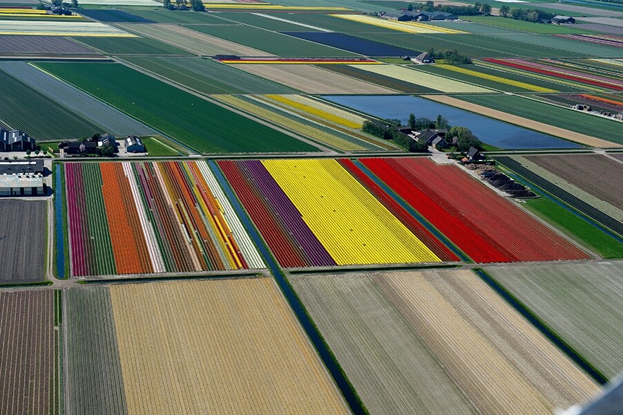 &#169; Normann Szkop