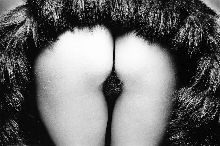 Dderri&#232;re with fur, Paris, 1978