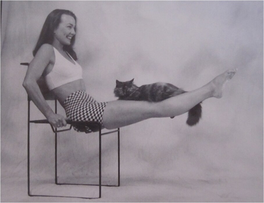Catflexing by Stephanie Jackson