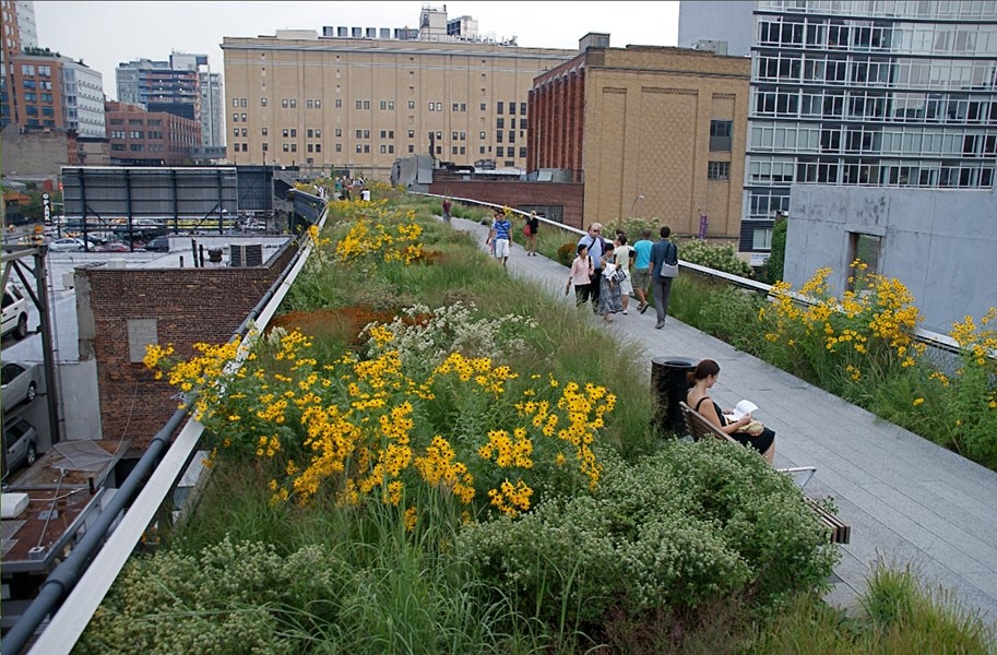 The High Line, NYC