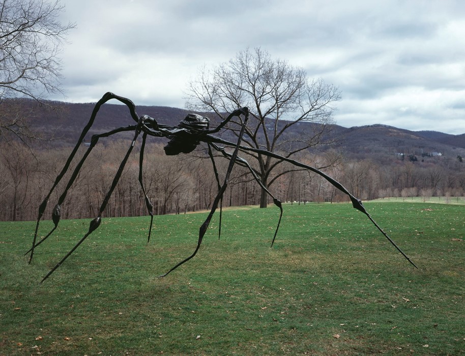 Louise Bourgeois SPIDER, 1996 installed at Storm K
