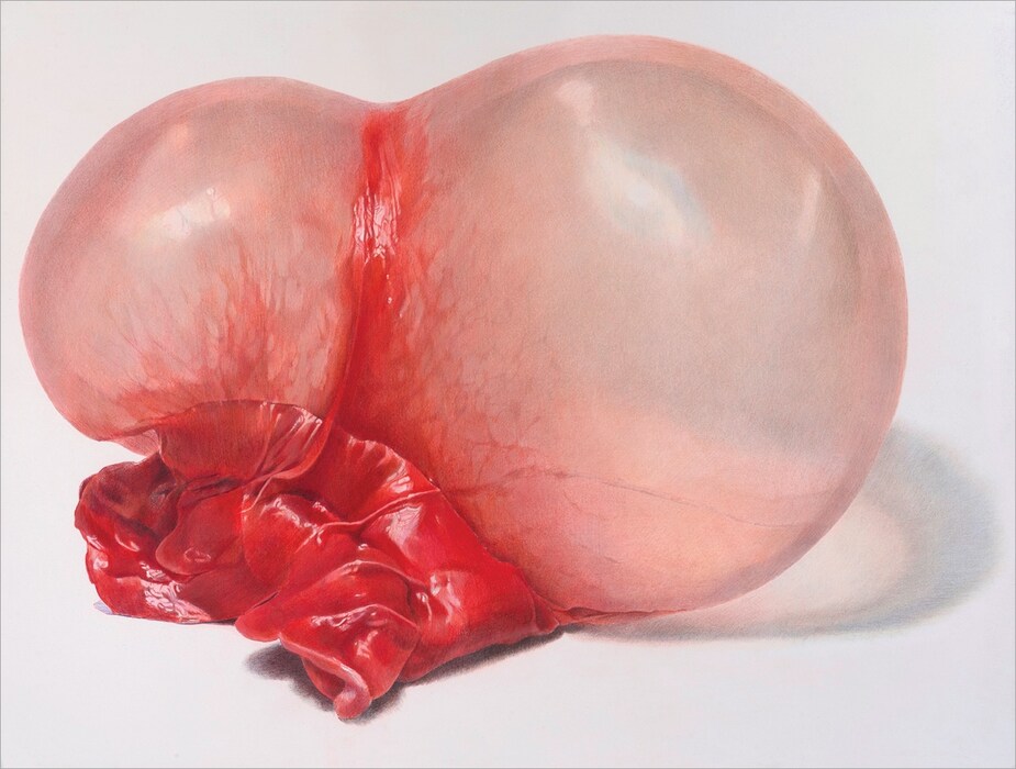 Strawberry #2, 2012