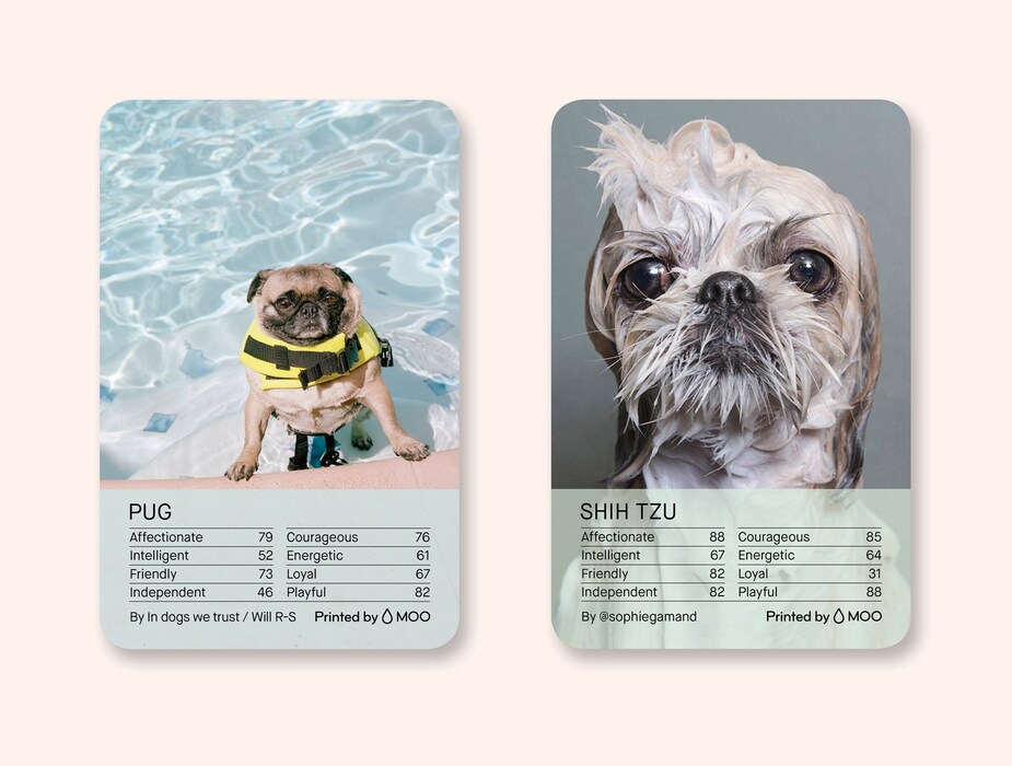DOGZ