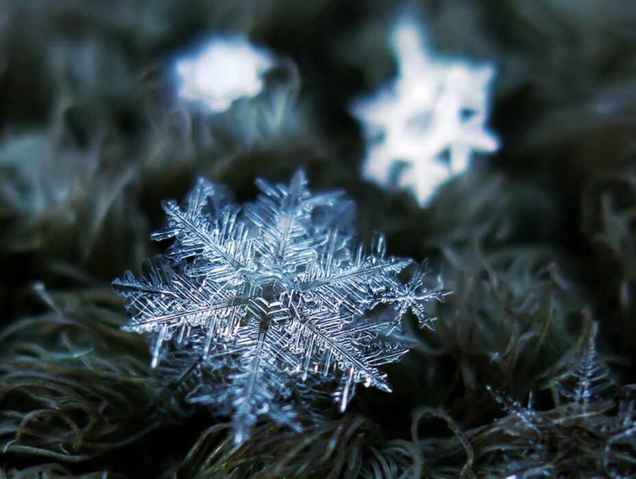 Photography by Alexey Kljatov