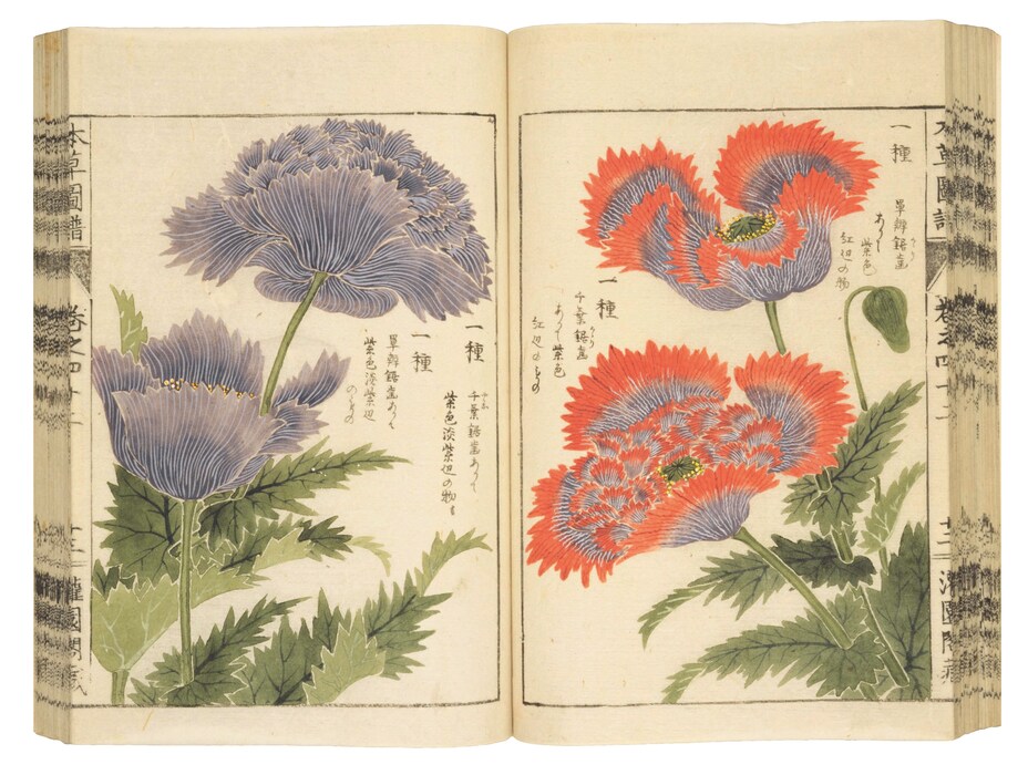 032 Iwasaki Tsunemasa 