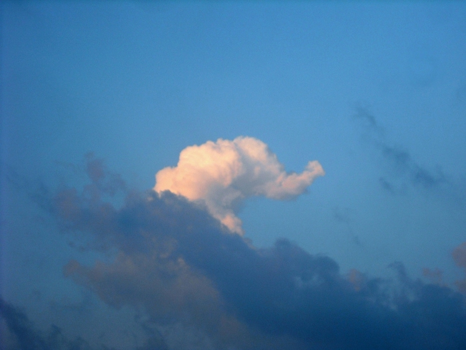 An Elephant over Havelock Island, Andaman, India
