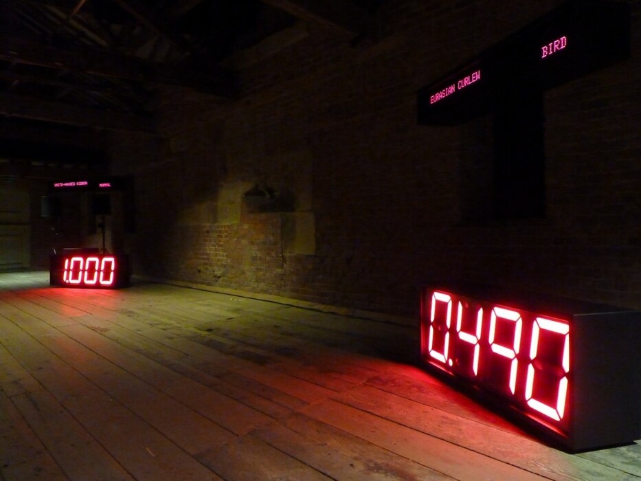 The Sounds of Others: A Biophonic Line, Marcus Coates, 2014