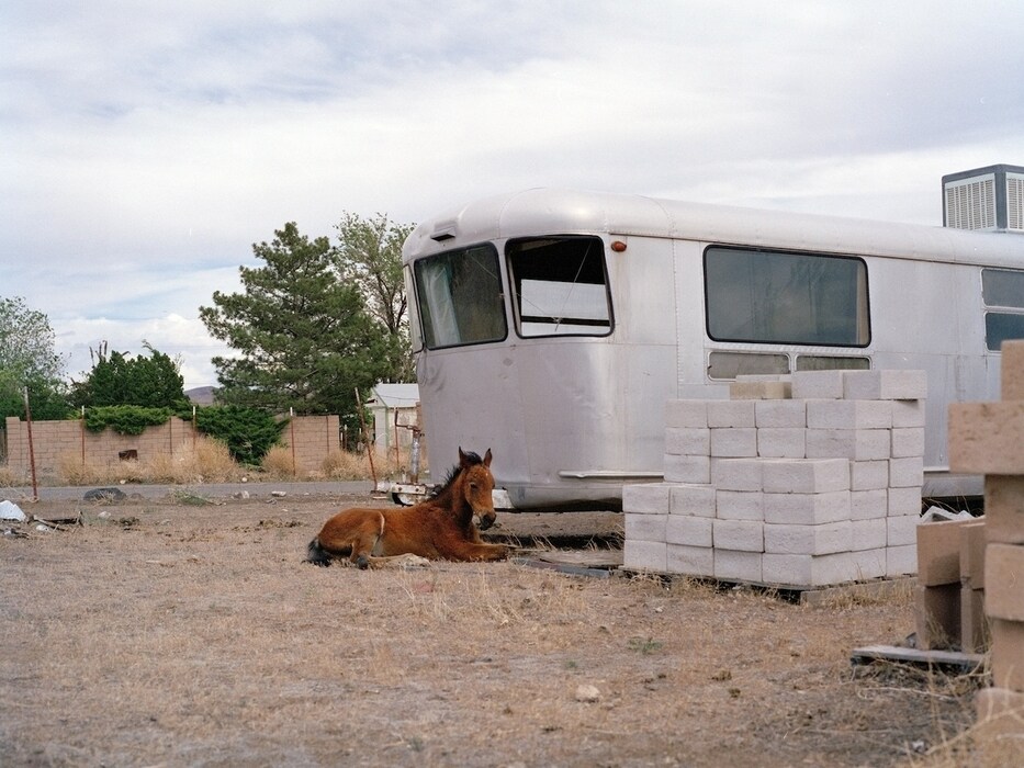 Charlotte Dumas, Iroquois Trail Stagecoach NV, 2013