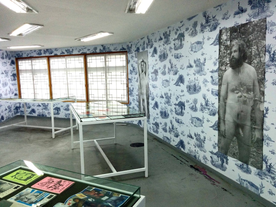 Queer Zines, curated by AA Bronson and Philip Aarons