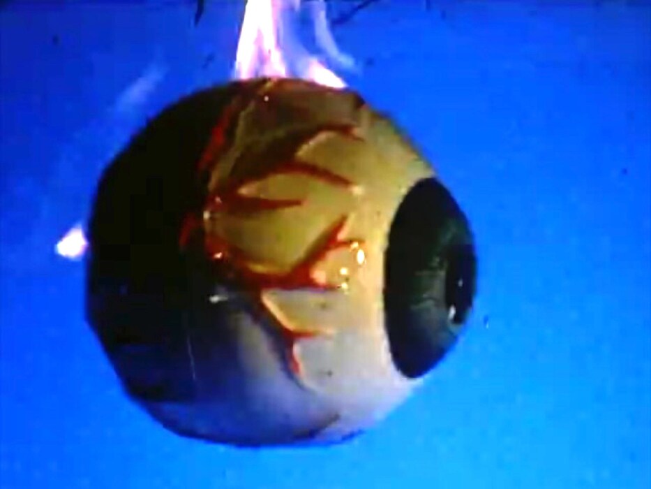 DavidWojnarowicz_A-Fire-In-My-Belly2