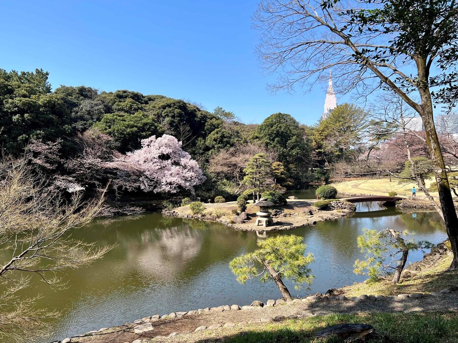 Shinjuku Gyoen National Garden