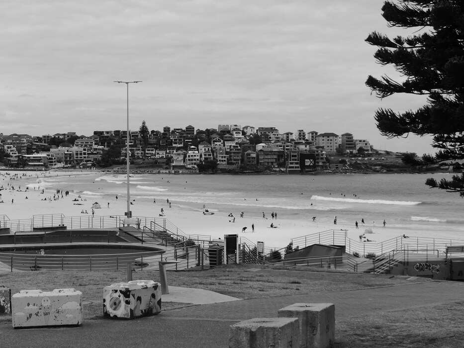 bondi black and white 