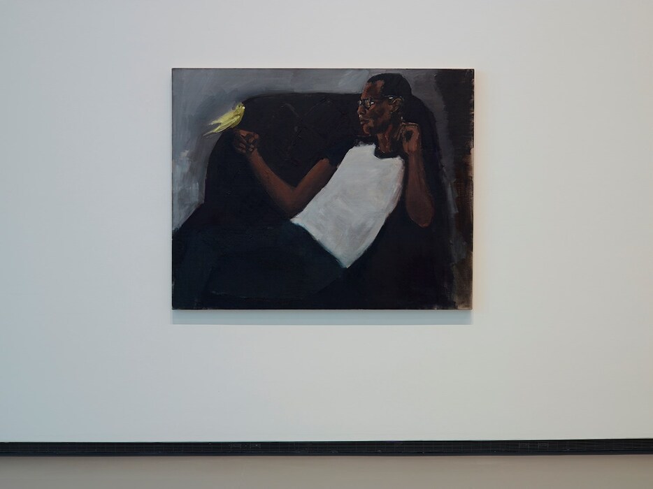 41238_lynette_yiadom-boakyeallmannerofcomforts2016
