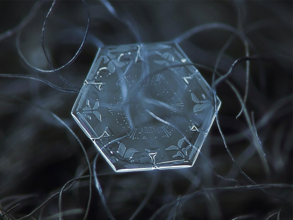Photography by Alexey Kljatov