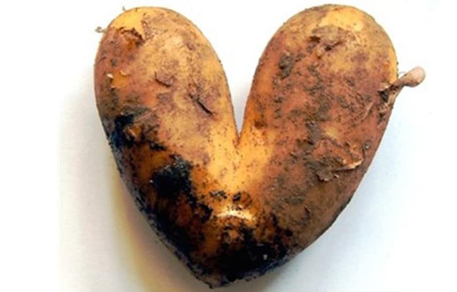 Potato heart