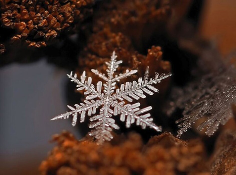 Photography by Andrew Osokin