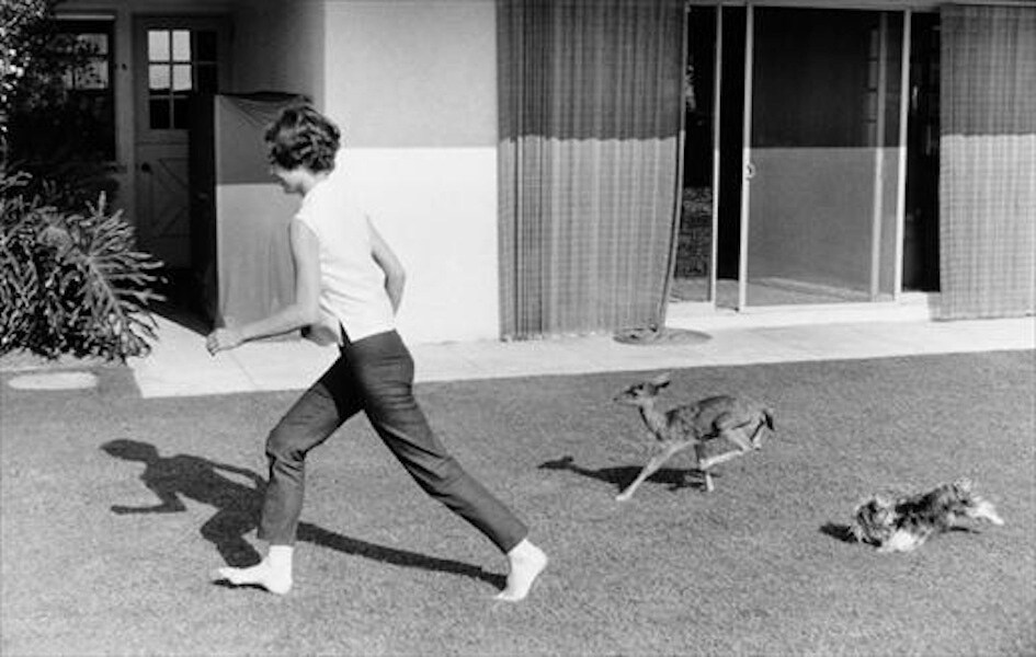 Audrey Hepburn with Ip and Mr Famous, 1958, as chosen by Lau