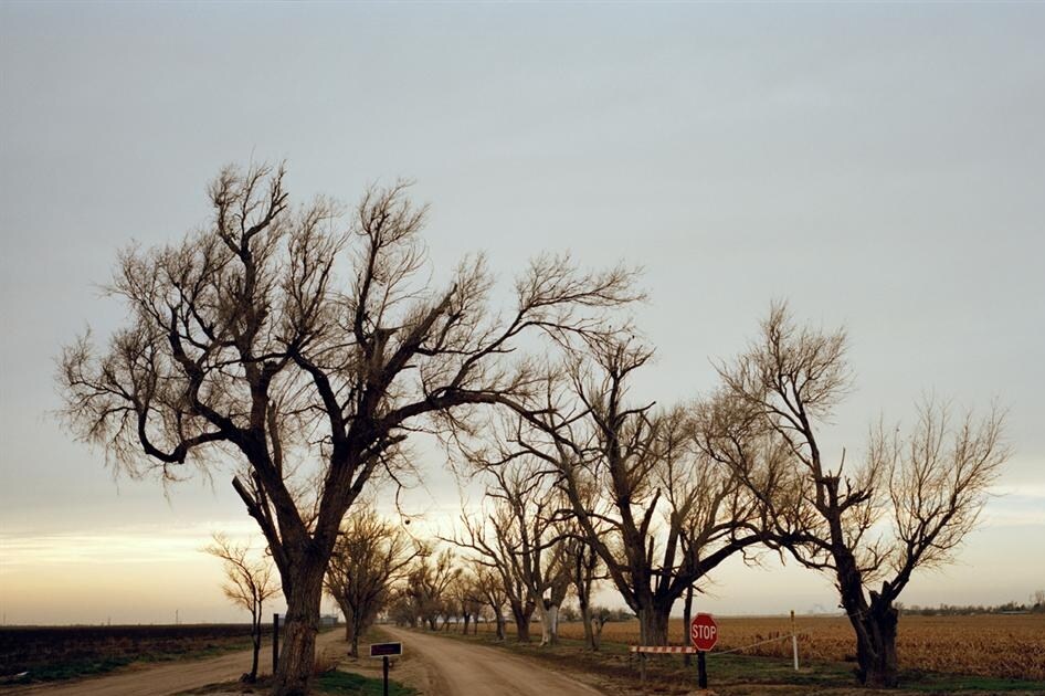 Photography by Tara Darby, 2009