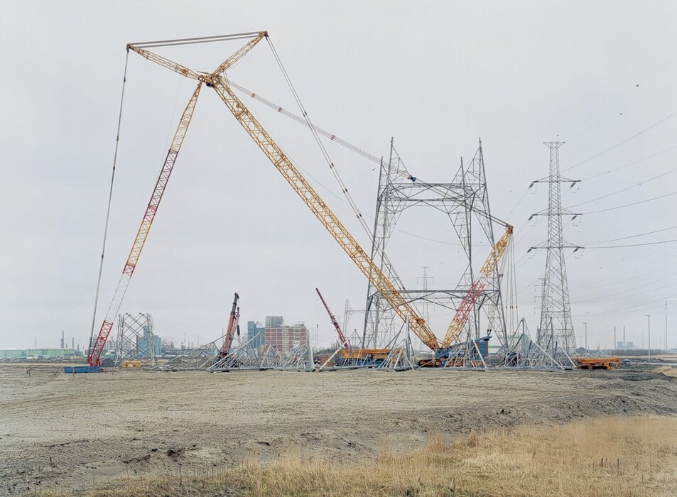 Crane, Jan Kempenaers, 2004