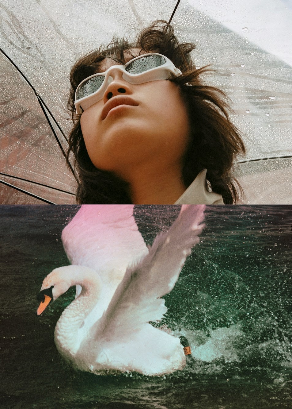 Wet by Polly Brown