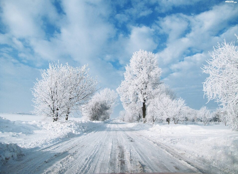 Telatyn, Poland