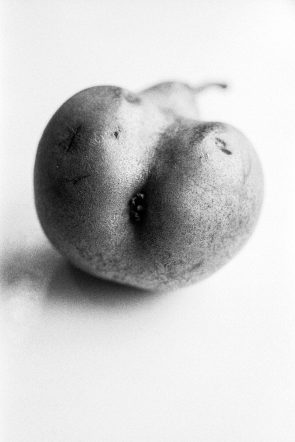 bjp_hires_mostra_037_23_new-copie2