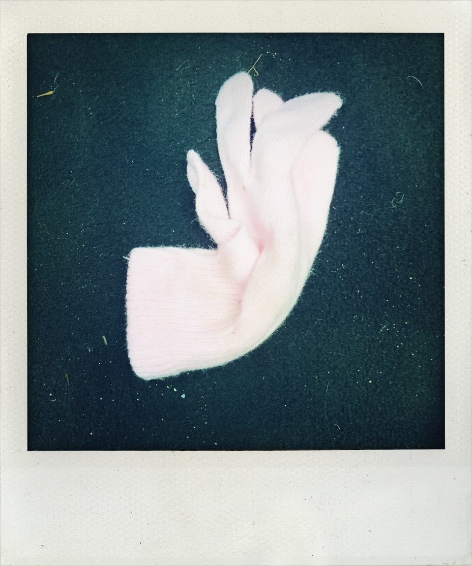 Little Book of Lost Gloves