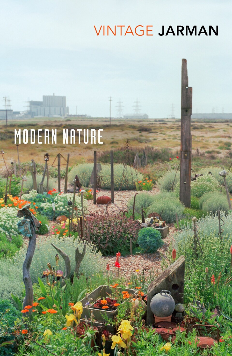Modern Nature by Derek Jarman