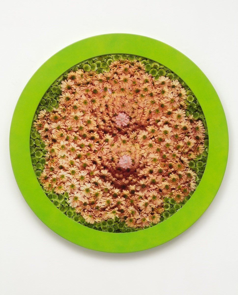 Helen Chadwick: Life Pleasures