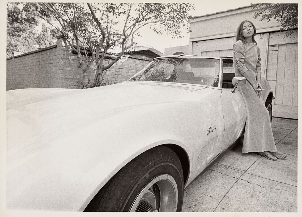 NPG_2012_35-Didion-R